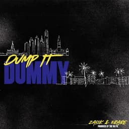 Release Cover Zai1k, Tre Oh Fie, 2Rare - Dump It Dummy (feat. 2rare)