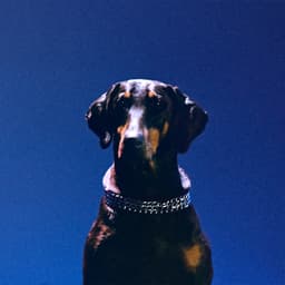 Release Cover Overmono, Ruthven - Gem Lingo (ovr now)