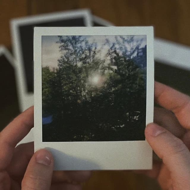 Release Cover Vines - Birthday Party