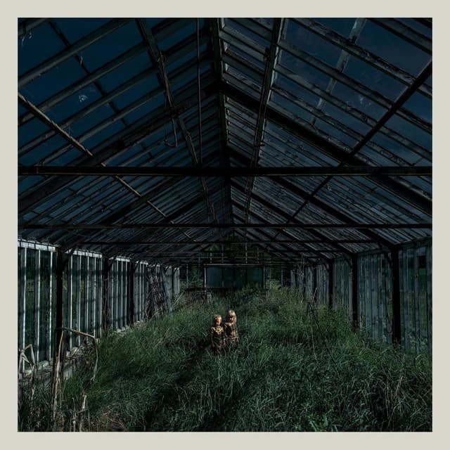 Release Cover Foxing - Dealer
