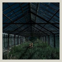 Release Cover Foxing - Dealer