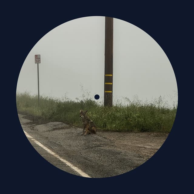 Release Cover Dominic Fike - 14 minutes