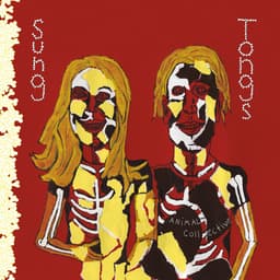 Release Cover Animal Collective - Sung Tongs