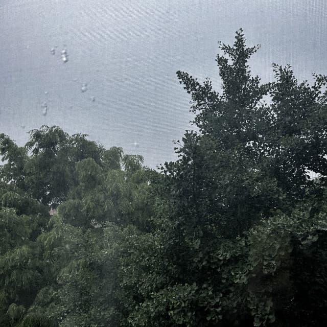 Release Cover Vines - I am my home