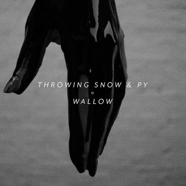 Release Cover Throwing Snow, Py - Wallow