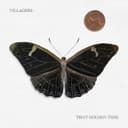 Cover of That Golden Time by Villagers
