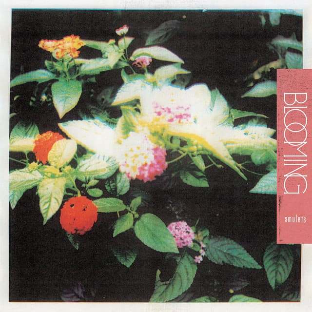 Release Cover Amulets - Blooming