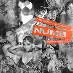 Release Cover The Bloody Beetroots, Tokky Horror - NUMB