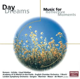 Release Cover Jeffrey Tate, Nicholas Cleobury, Edo de Waart, Valery Gergiev, Kurt Masur, Sir Neville Marriner, London Symphony Orchestra, Academy of St. Martin in the Fields, San Francisco Symphony, Mariinsky Orchestra - Various: Daydreams - Music for Reflective Moments