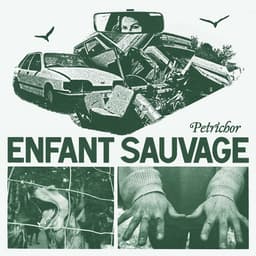Release Cover Enfant Sauvage - Petrichor