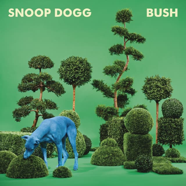 Release Cover Snoop Dogg - BUSH