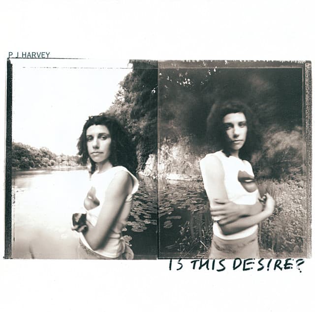 Release Cover PJ Harvey - Is This Desire?