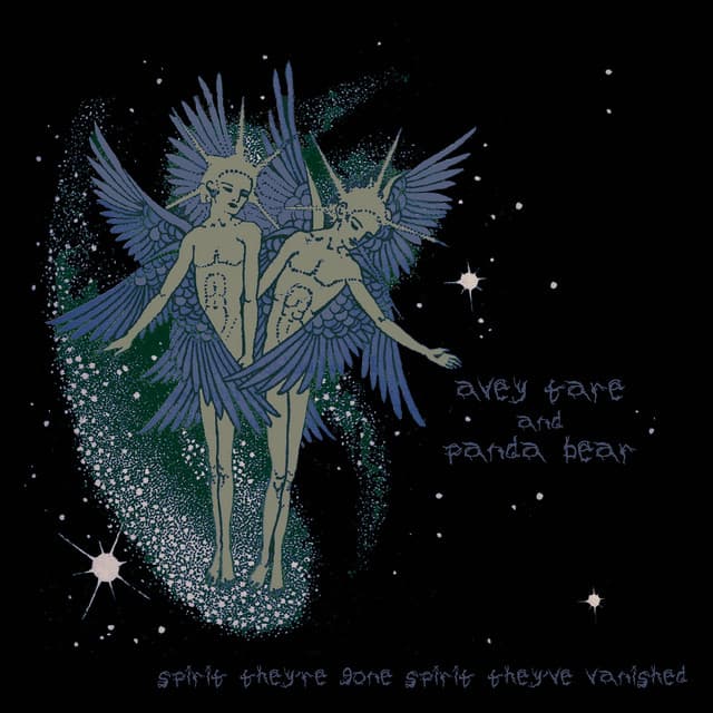 Release Cover Animal Collective - Spirit They’re Gone, Spirit They’ve Vanished