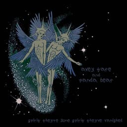Release Cover Animal Collective - Spirit They’re Gone, Spirit They’ve Vanished
