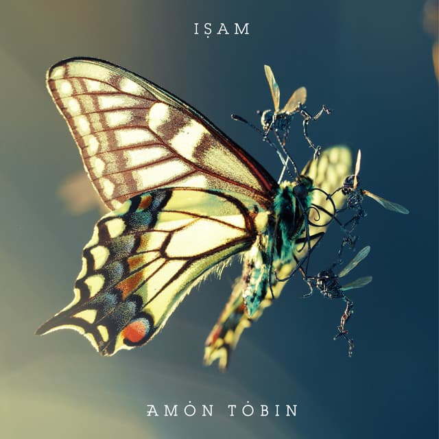 Release Cover Amon Tobin - ISAM