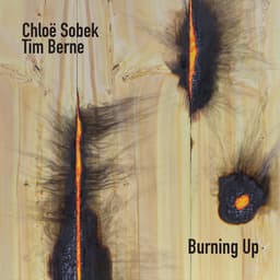 Release Cover Chloë Sobek, Tim Berne - Burning Up