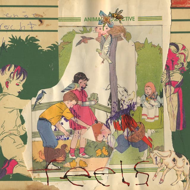 Release Cover Animal Collective - Feels