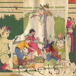 Release Cover Animal Collective - Feels