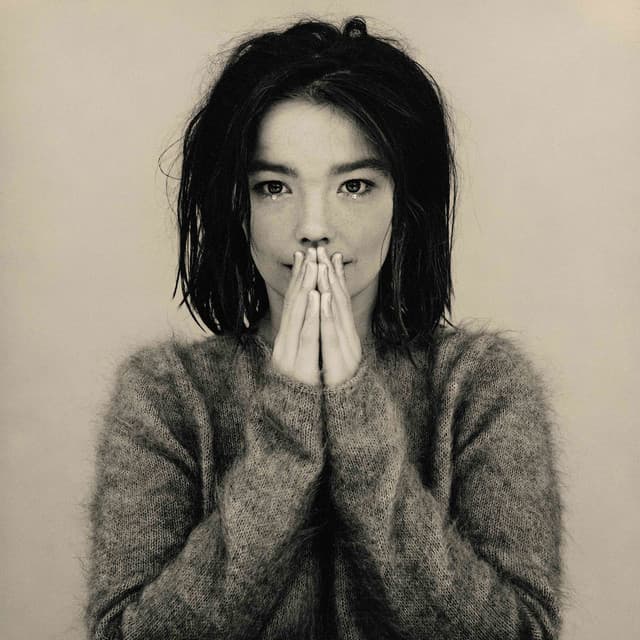 Release Cover Björk - Debut