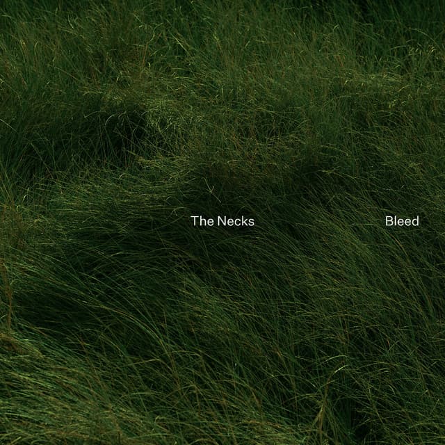 Release Cover The Necks - Bleed