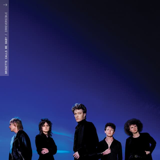 Release Cover Brigitte Calls Me Baby - Irreversible