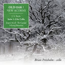 Release Cover Johann Sebastian Bach, Brian Friisholm - OLD OAK / NEW ACORNS