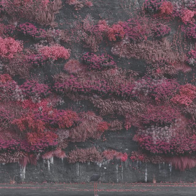 Release Cover Sleep Token - Even In Arcadia