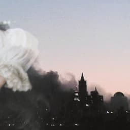 Release Cover William Basinski - The Disintegration Loops (Remastered)