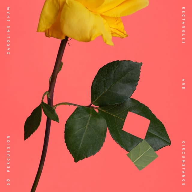 Release Cover Caroline Shaw, Sō Percussion - Rectangles and Circumstance
