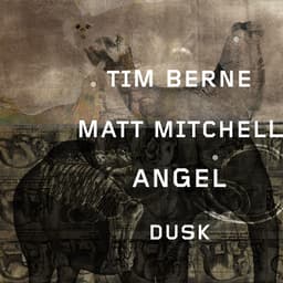 Release Cover Tim Berne, Matt Mitchell - Angel Dusk