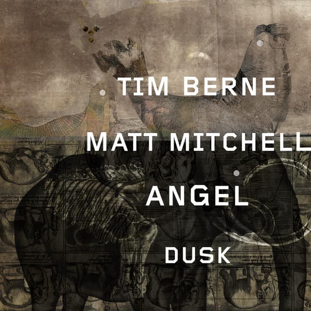 Release Cover Tim Berne, Matt Mitchell - Angel Dusk