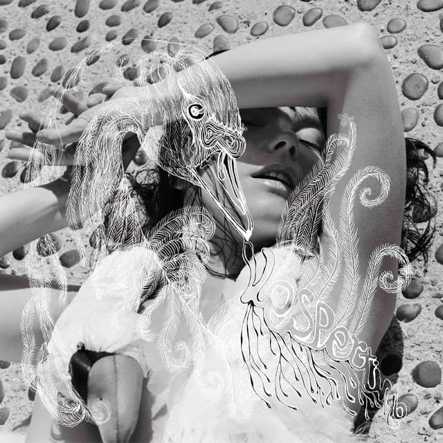 Release Cover Björk - Vespertine