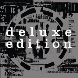 Release Cover Underworld - Dubnobasswithmyheadman (Deluxe / 20th Anniversary Edition)