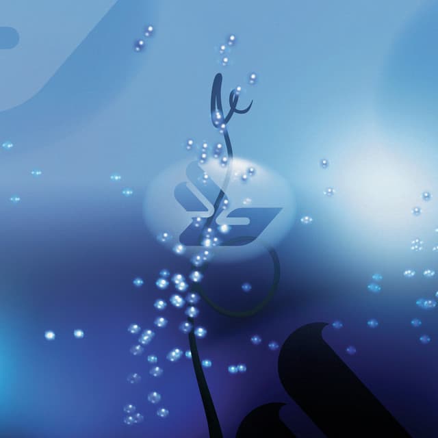 Release Cover Björk - Jóga