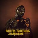 Cover of Roots Rocking Zimbabwe - The Modern Sound of Harare' Townships 1975-1980 (Analog Africa No.41) by Various Artists