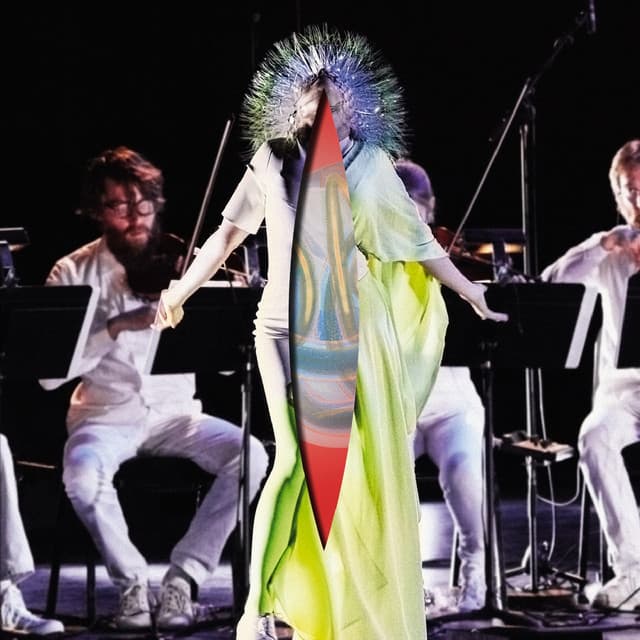 Release Cover Björk - Vulnicura Strings (Vulnicura: The Acoustic Version - Strings , Voice and Viola Organista Only)