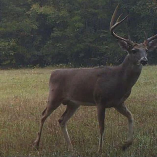 Release Cover DERBY - Slugger