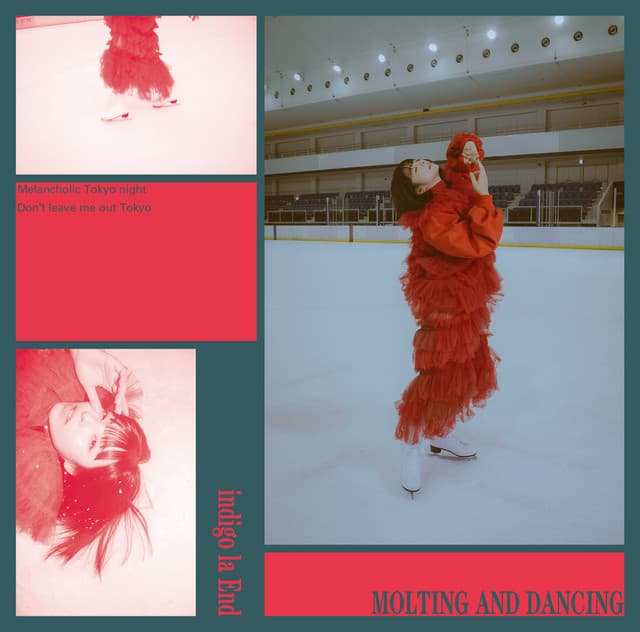 Release Cover indigo la End - MOLTING AND DANCING