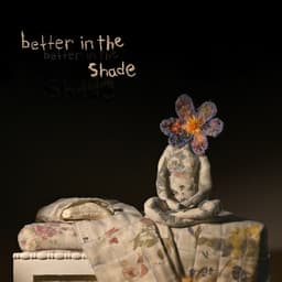 Release Cover Patrick Watson - Better in the Shade