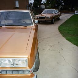 Release Cover Cuco, The Marías - Si Me Voy (with The Marías)