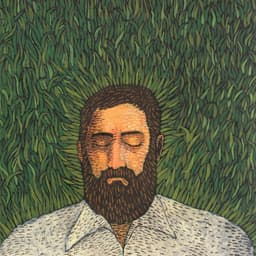 Release Cover Iron & Wine - Our Endless Numbered Days