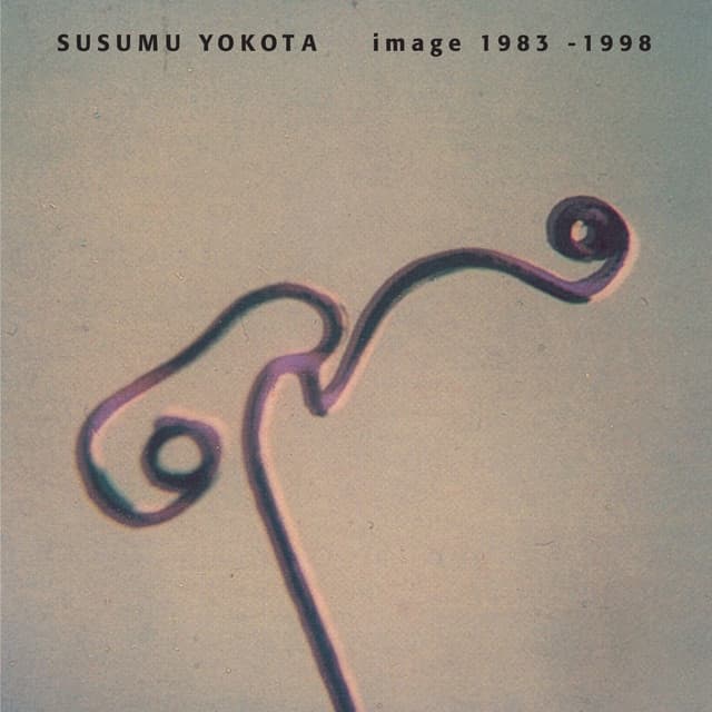 Release Cover Susumu Yokota - Image 1983 - 1998