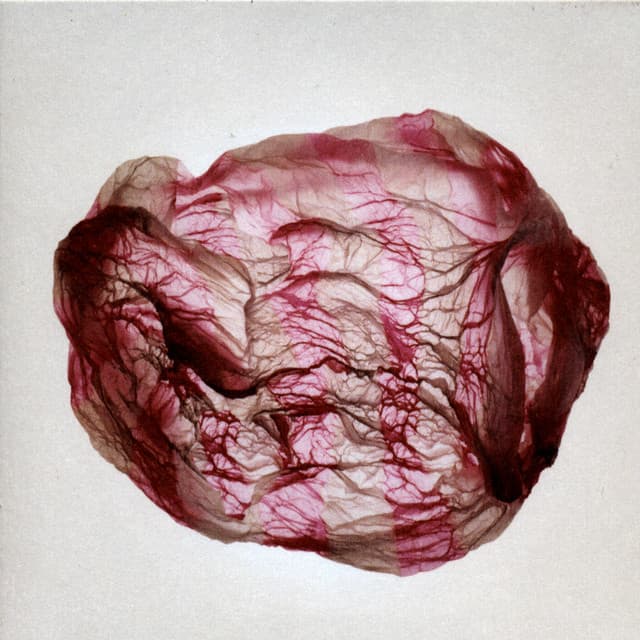 Release Cover Susumu Yokota - Distant Sounds of Summer