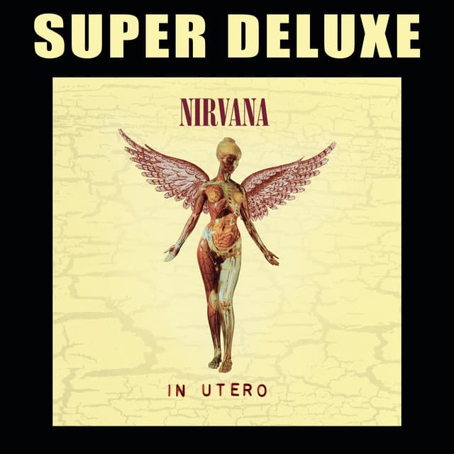 Release Cover Nirvana - In Utero (Super Deluxe Edition)