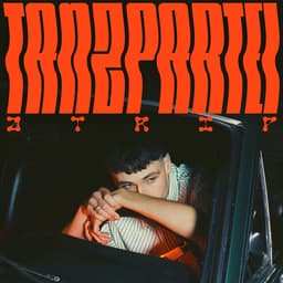 Release Cover ATRIP - TANZPARTEI (Mixtape)