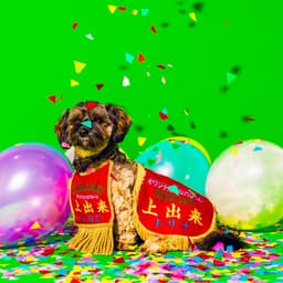 Release Cover tricot - 上出来