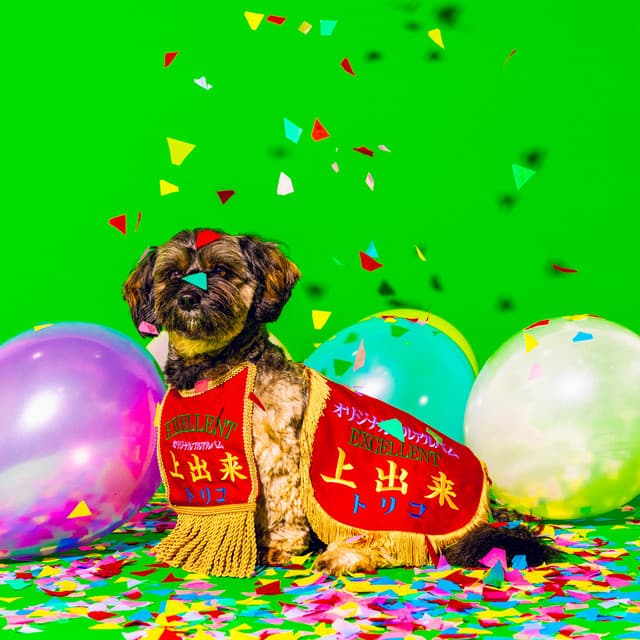 Release Cover tricot - 上出来