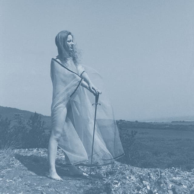 Release Cover Unknown Mortal Orchestra - II (10 Year Anniversary Edition)