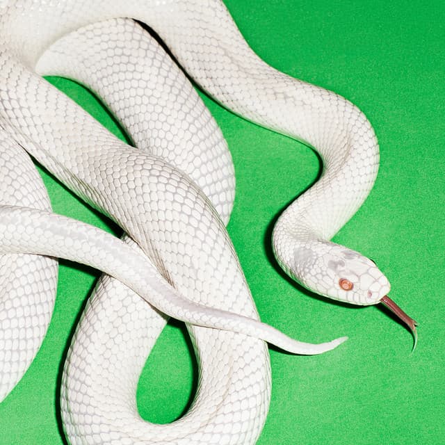 Release Cover Deftones - private music