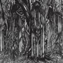 Release Cover sunn O))) - Black One